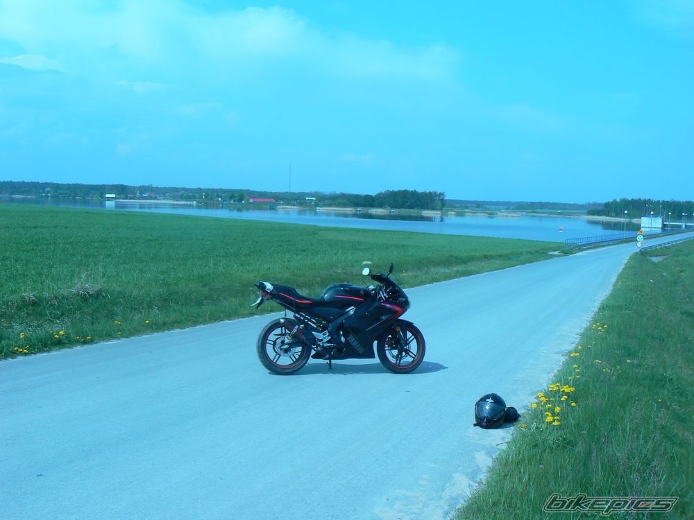 Photo 1272818