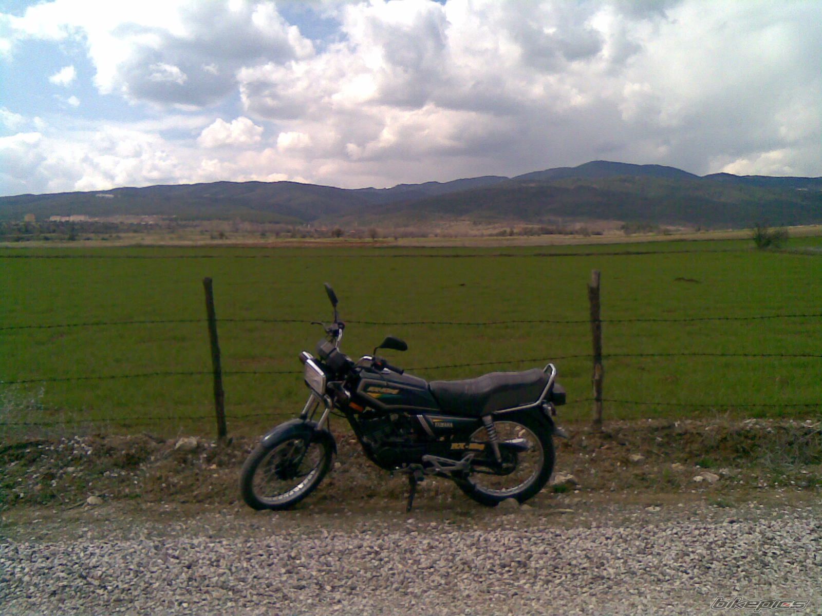 Photo 1272858