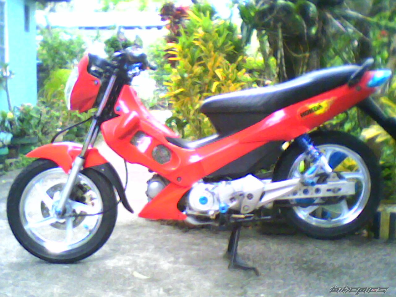 Photo 1272873