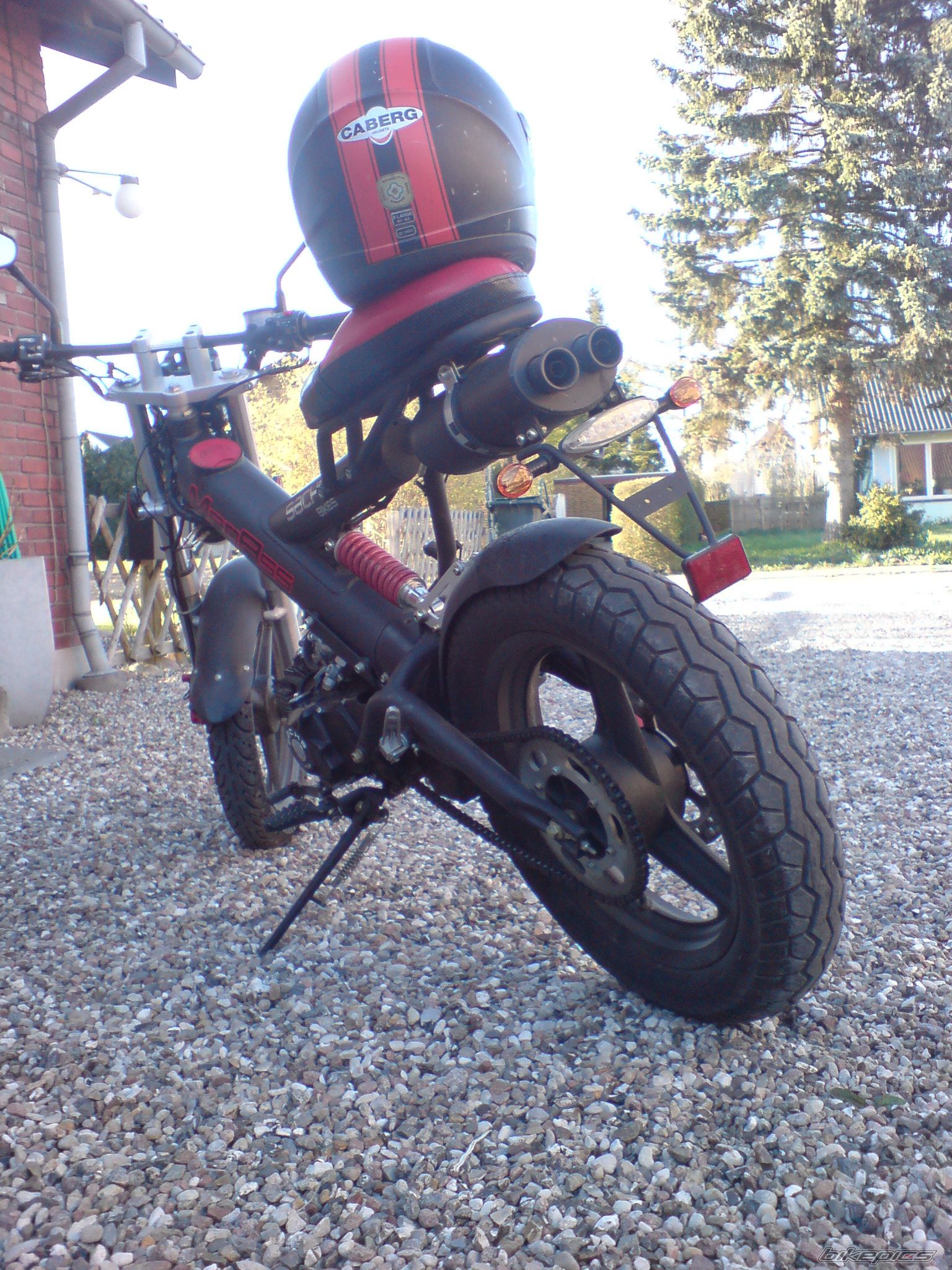 Photo 1272976