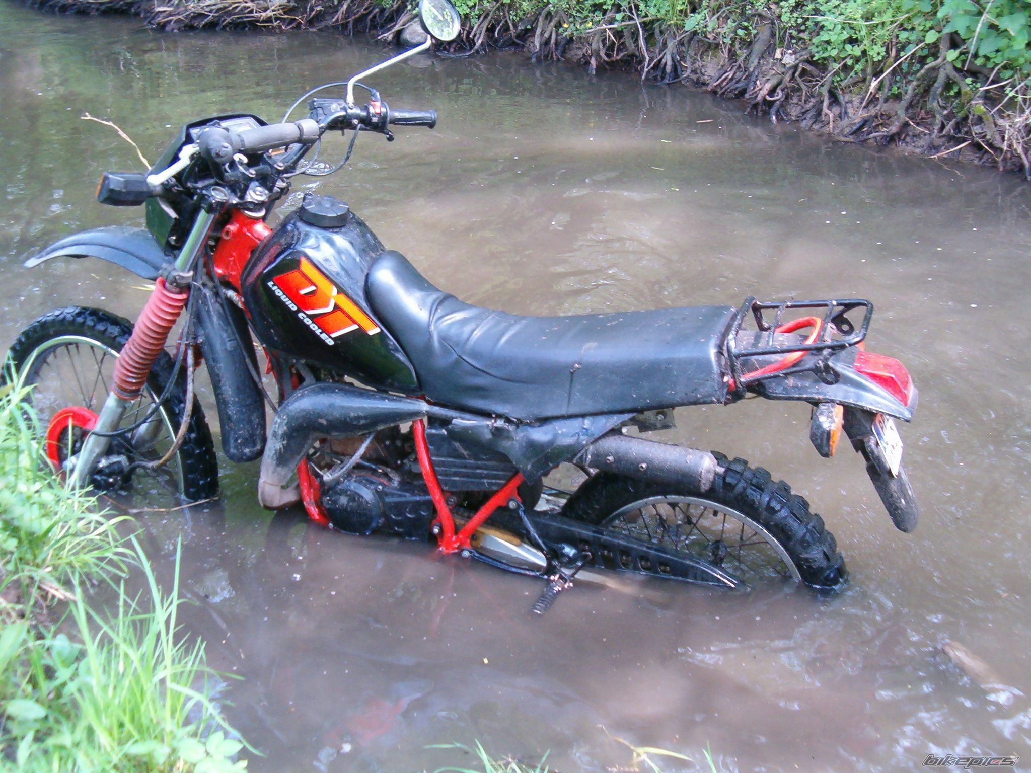 Photo 1273005