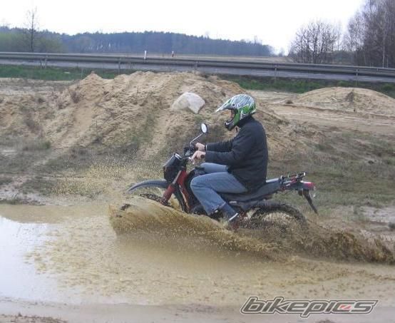 Photo 1273010