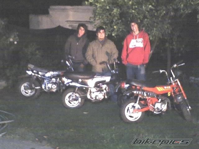 Photo 1273047