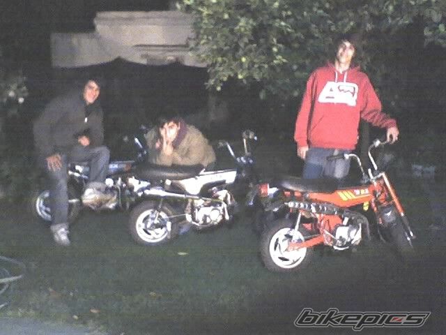 Photo 1273049