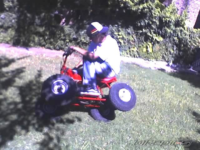 Photo 1273052