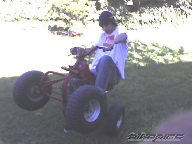 Photo 1273054