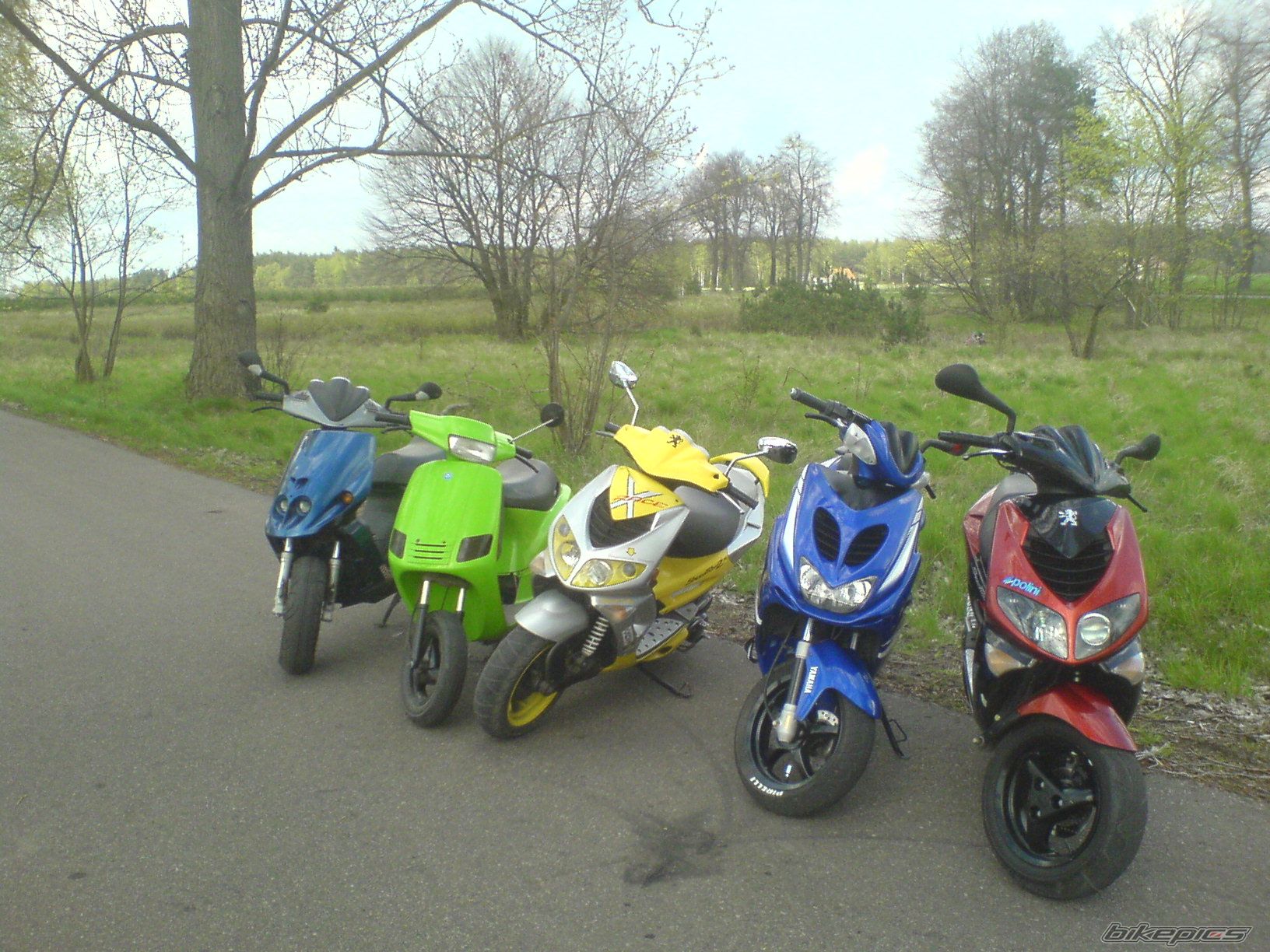 Photo 1273085