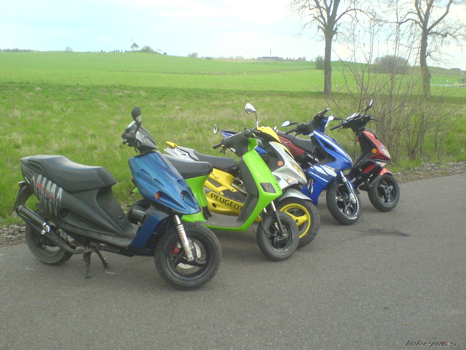Photo 1273087