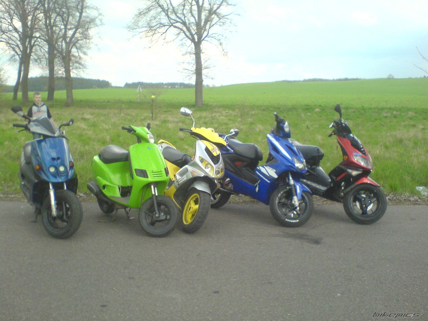 Photo 1273089