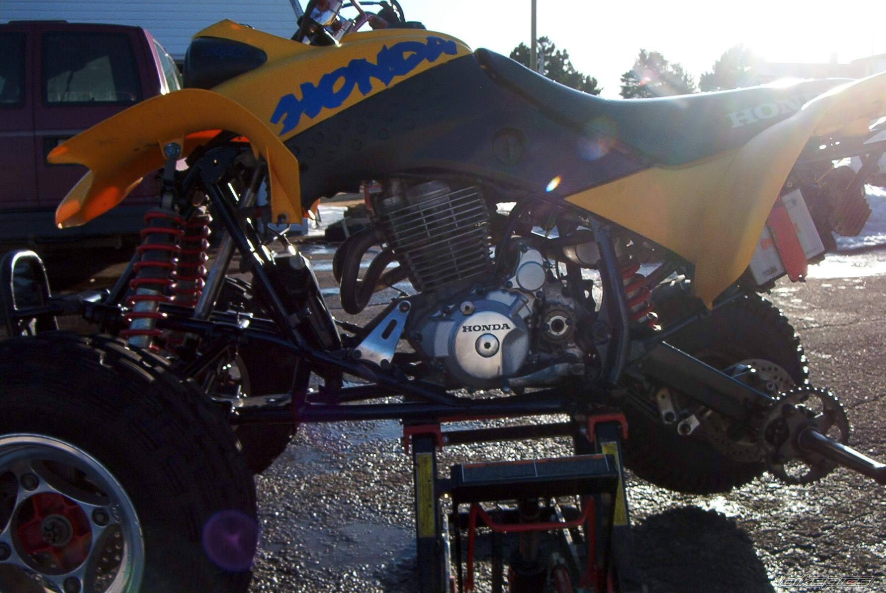 Photo 127309
