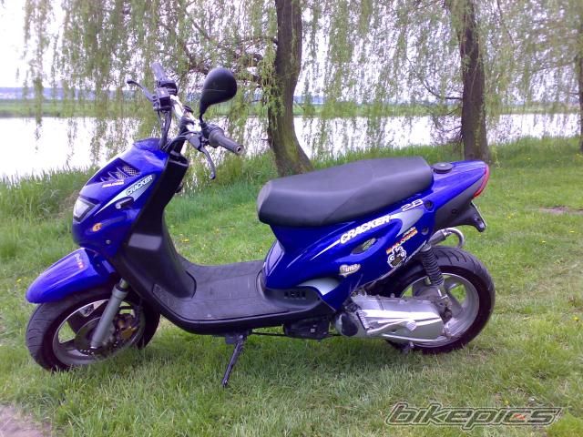 Photo 1273150