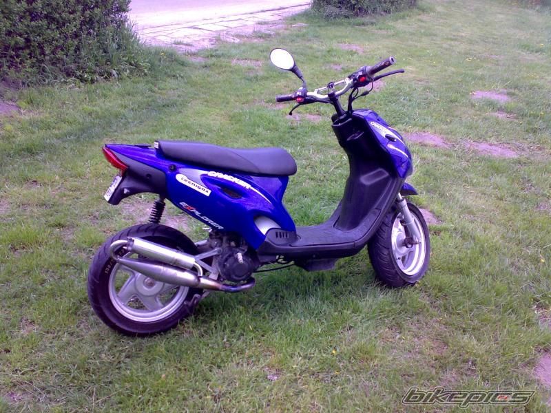 Photo 1273159