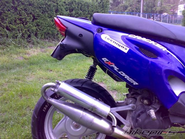 Photo 1273166