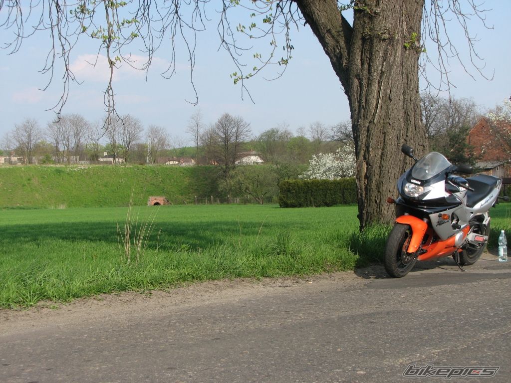 Photo 1273182