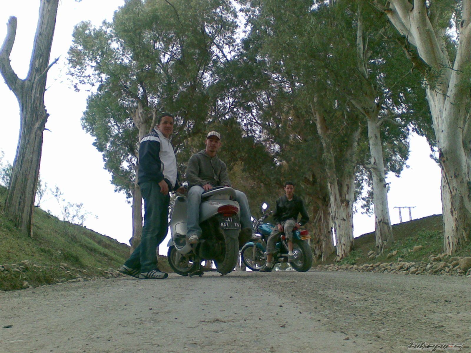 Photo 1273254