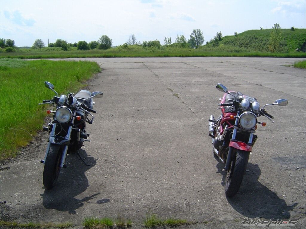 Photo 1273302