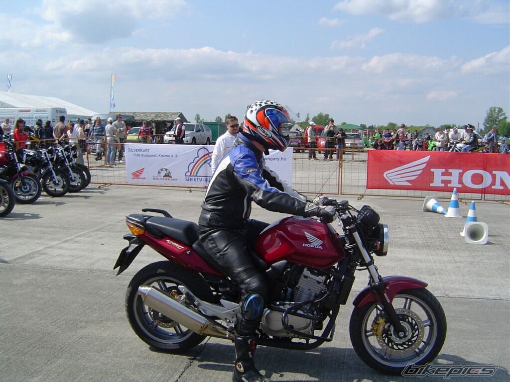 Photo 1273306