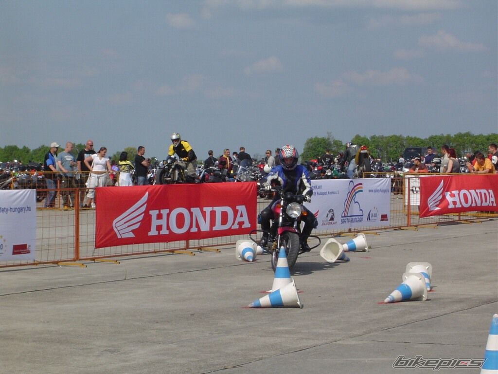 Photo 1273307