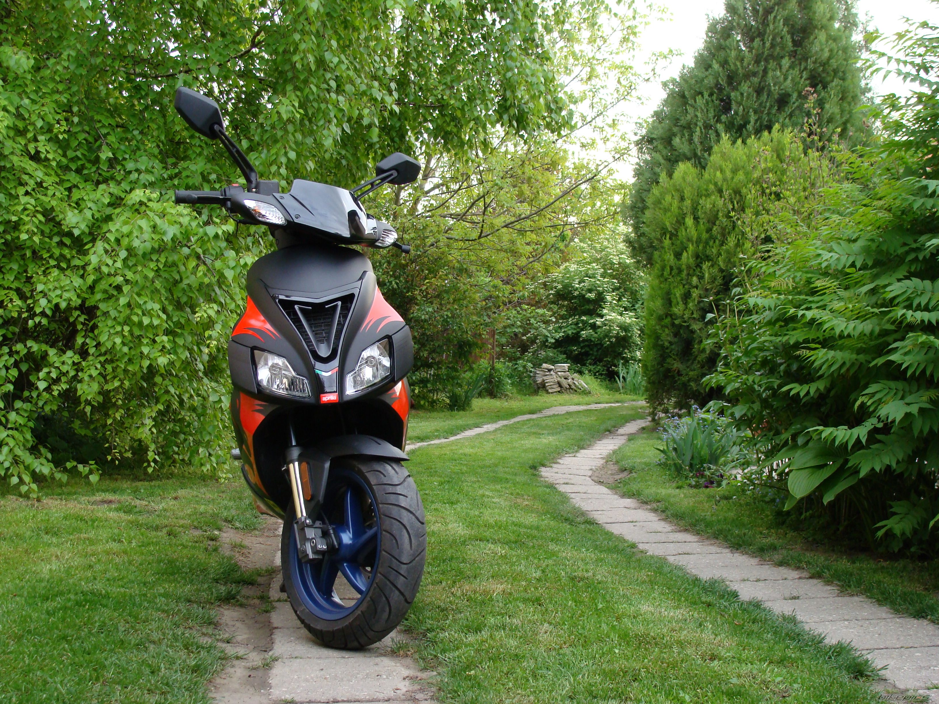 Photo 1273333