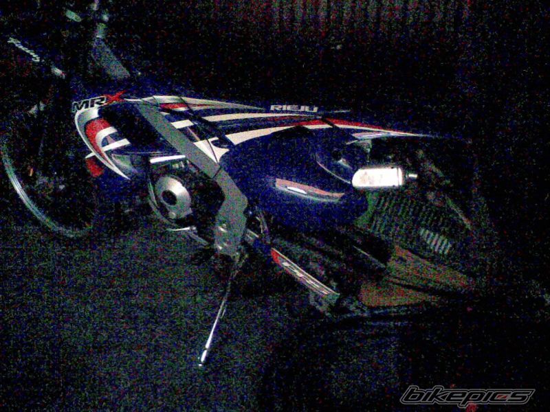 Photo 1273354