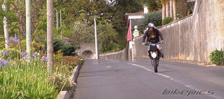 Photo 1273404
