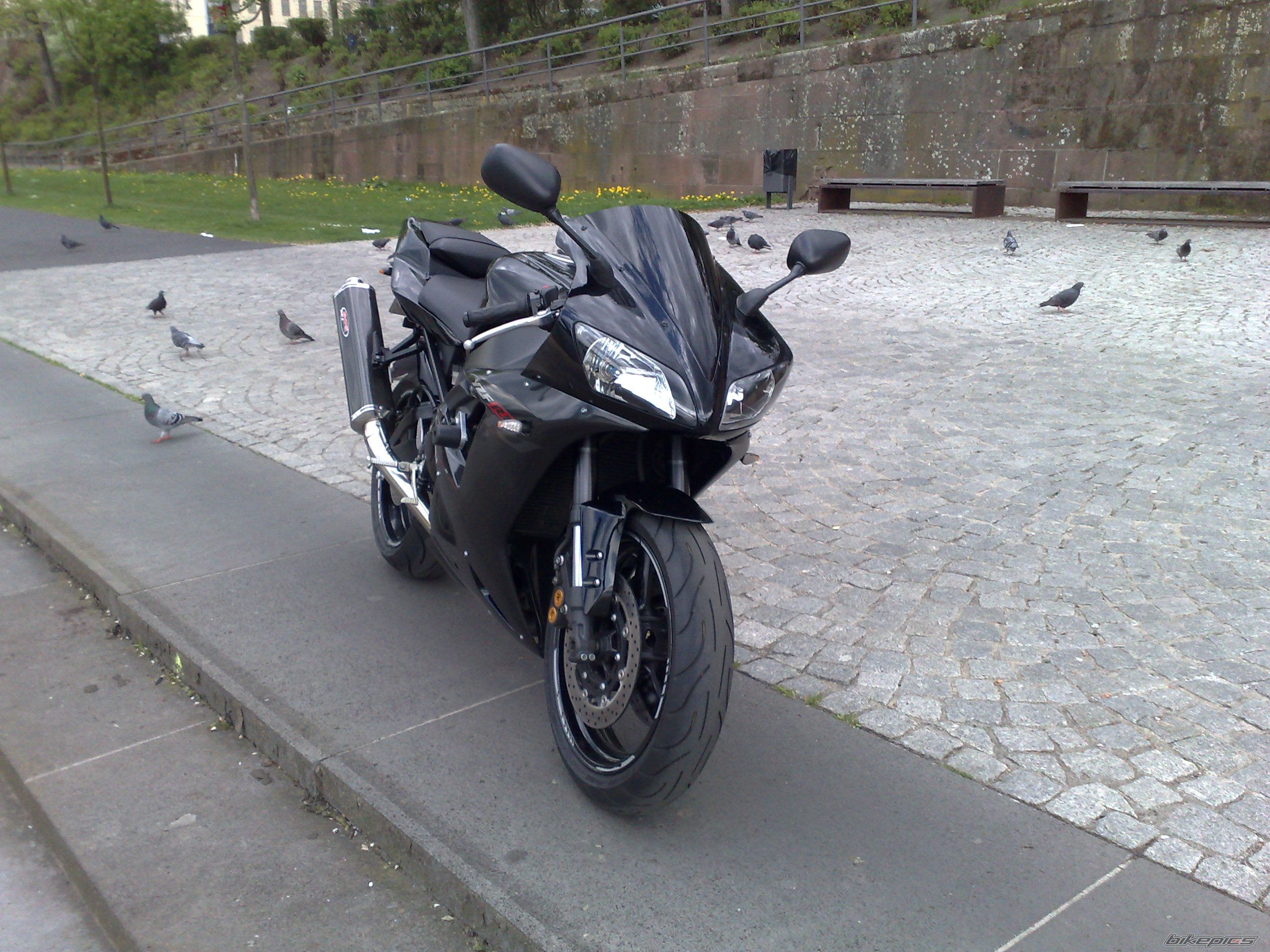 Photo 1273410