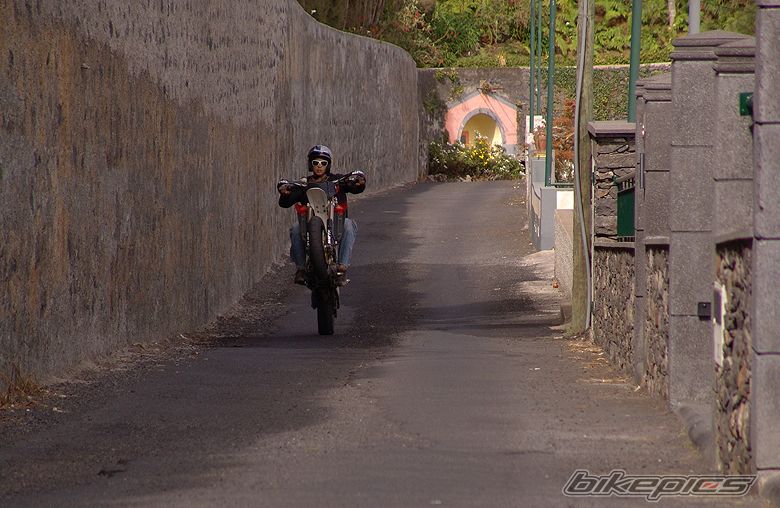 Photo 1273417