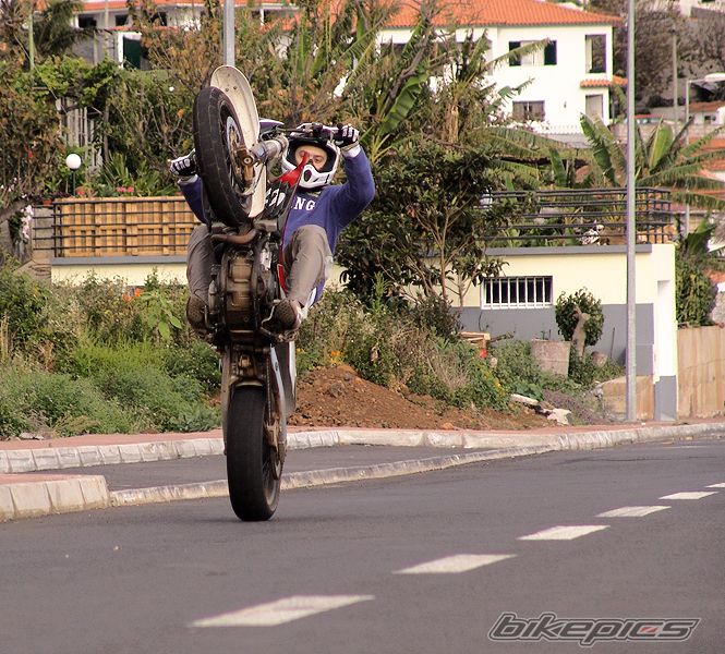 Photo 1273429