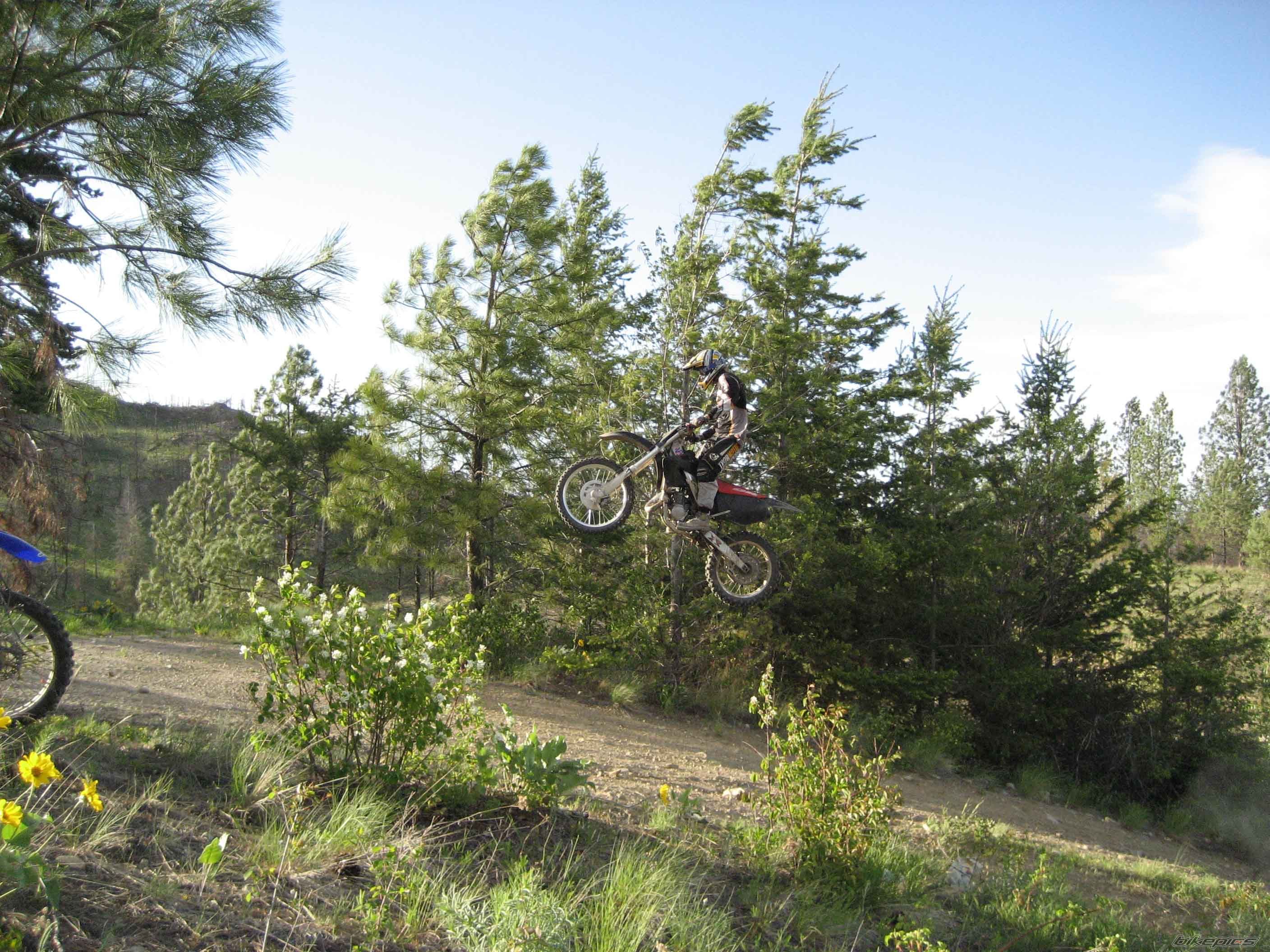 Bike Photo 1273483