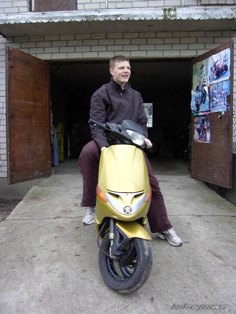 Photo 127351