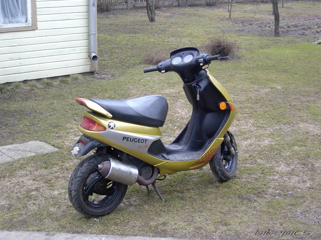 Photo 127352