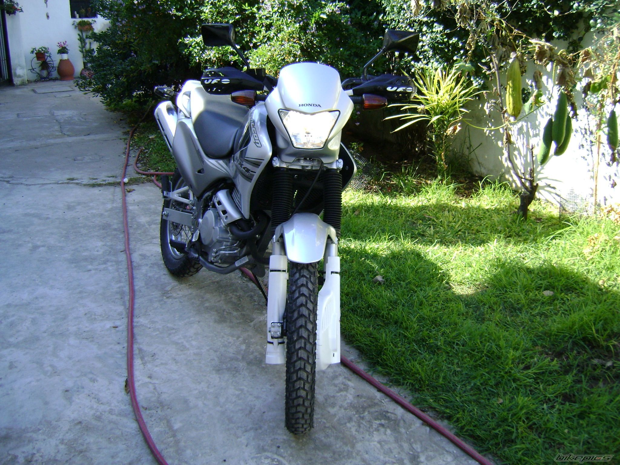 Photo 1273599