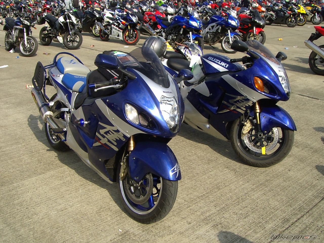 Photo 1273631