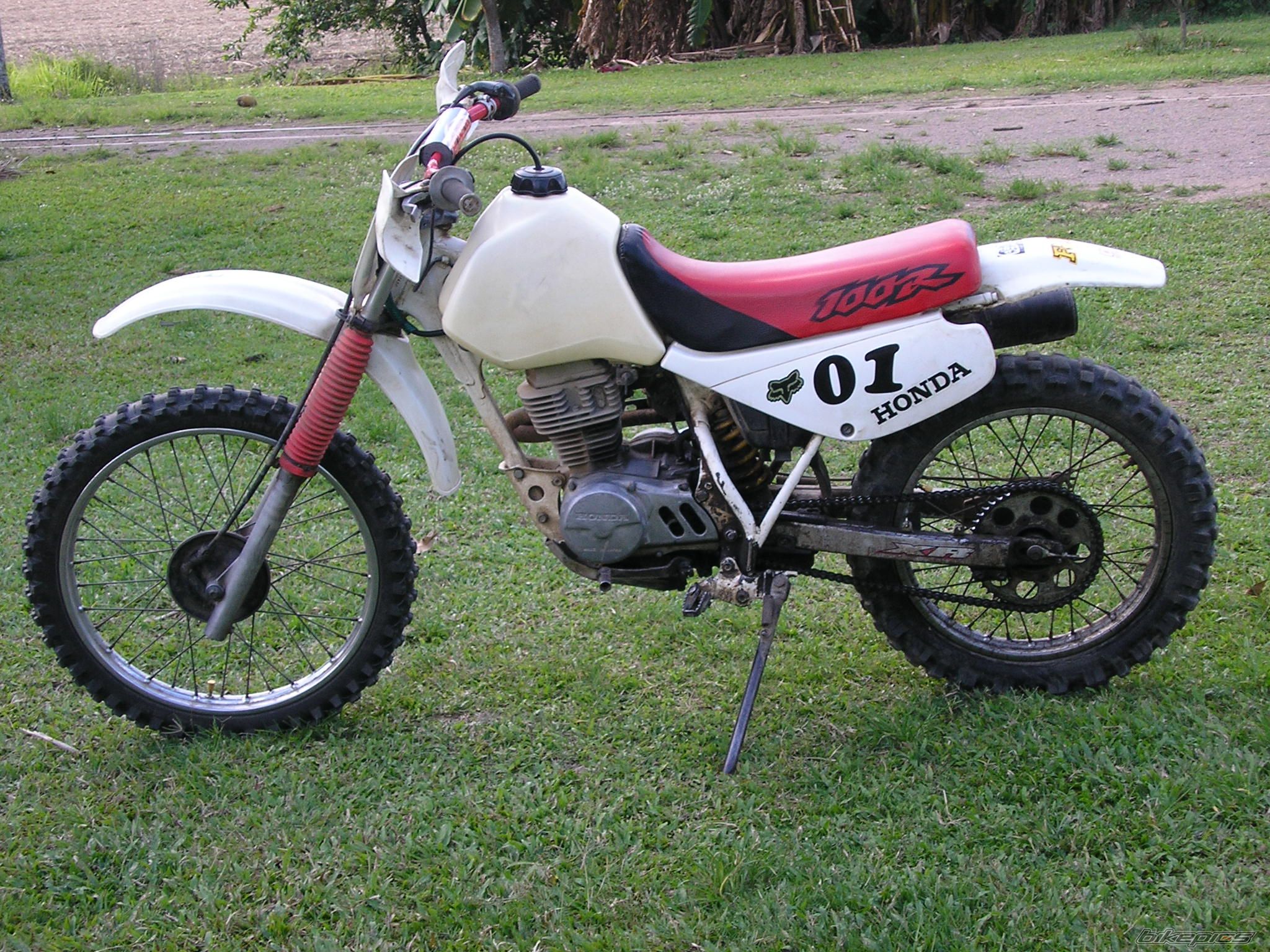 Photo 1273634