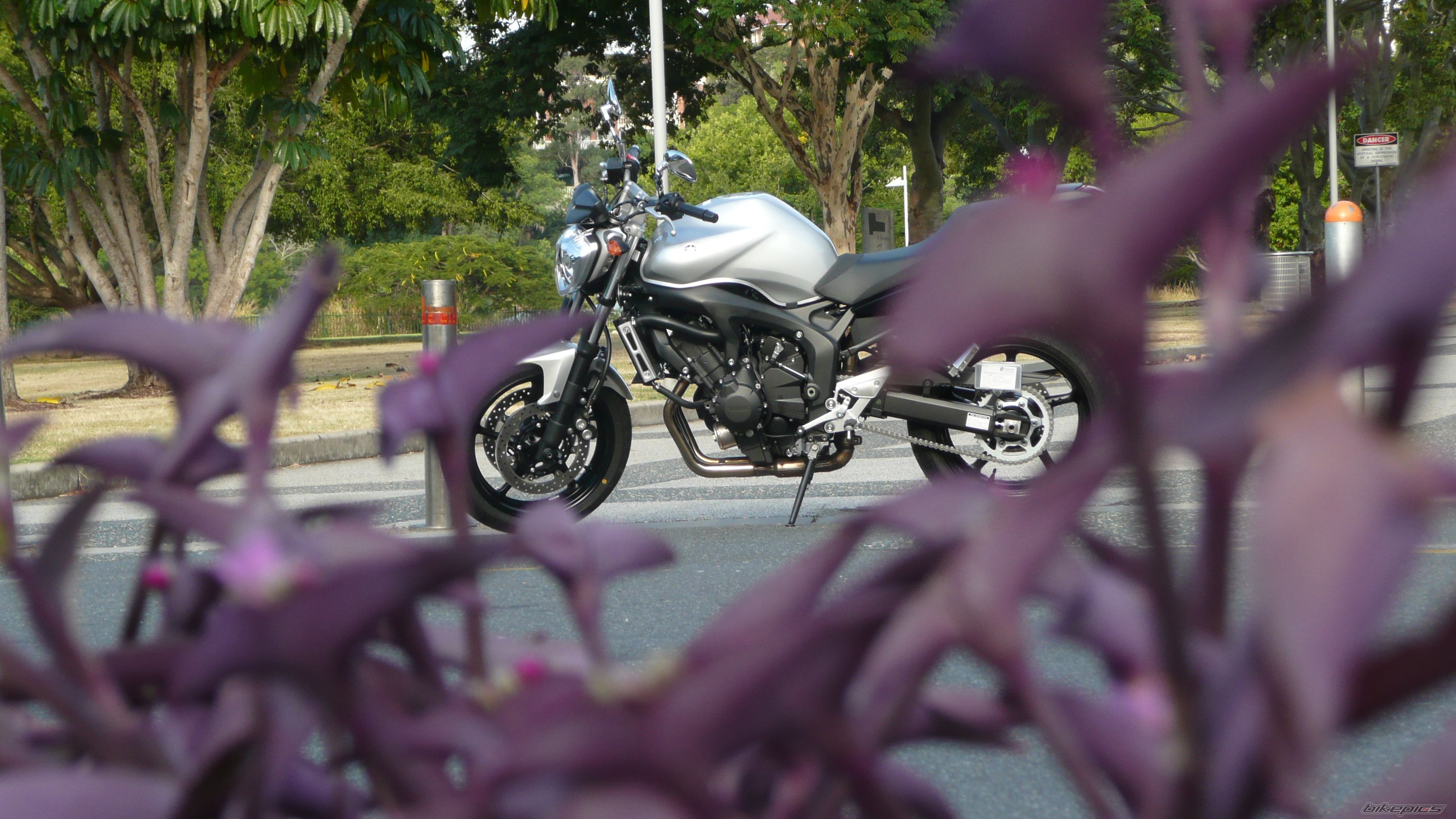 Photo 1273637