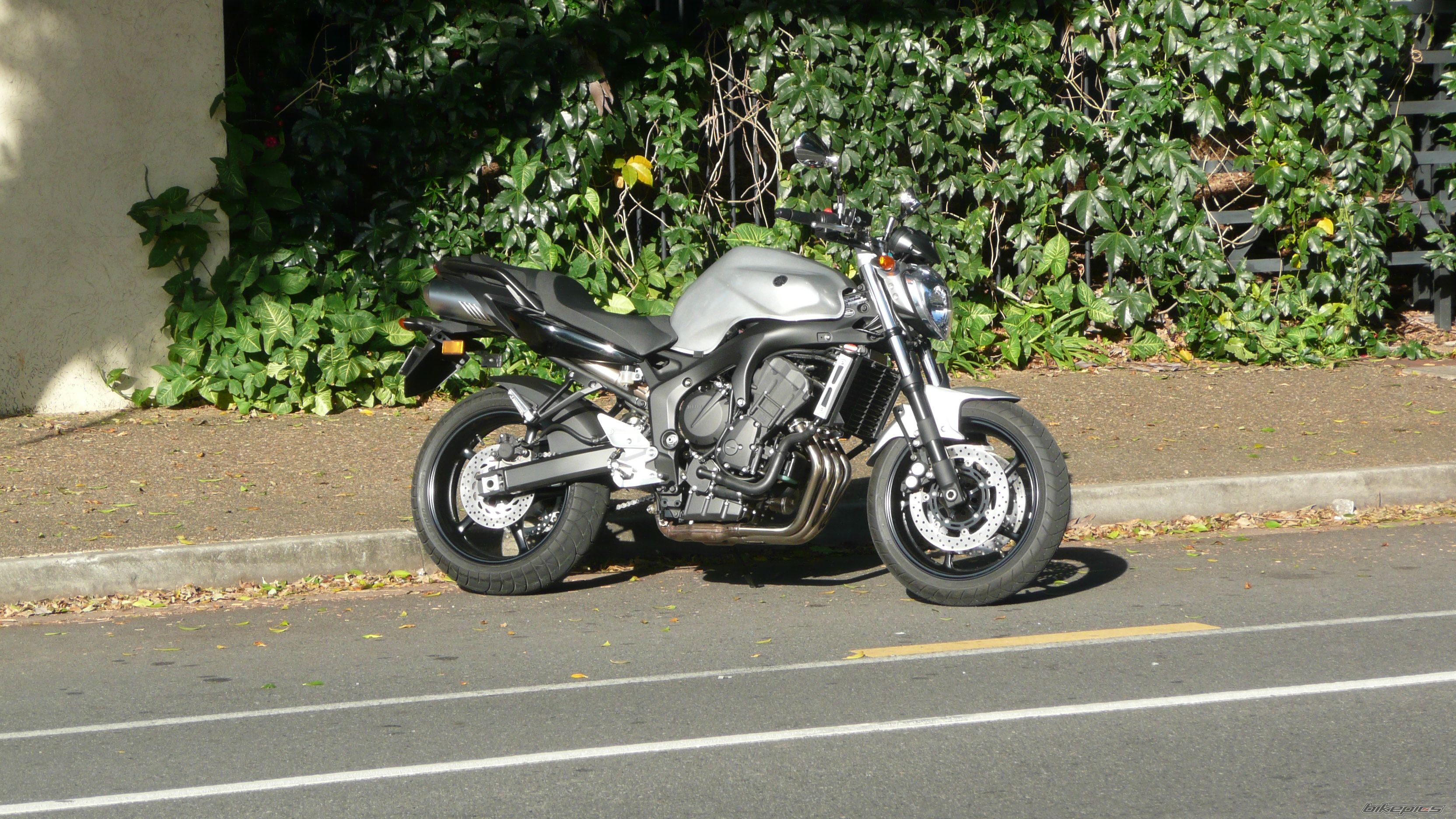 Photo 1273648