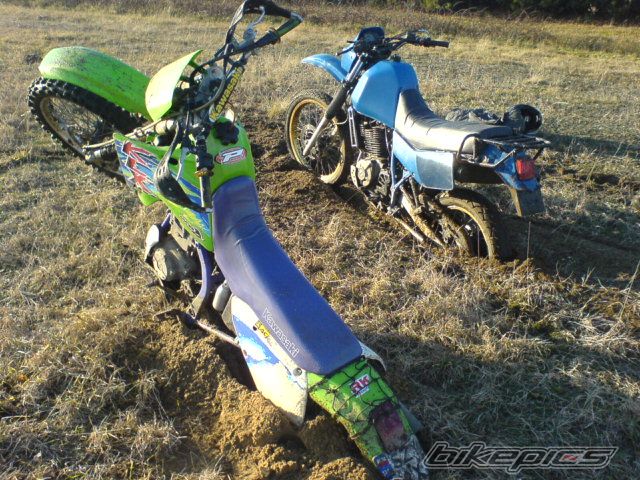 Photo 1273688