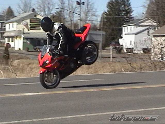 Photo 127369