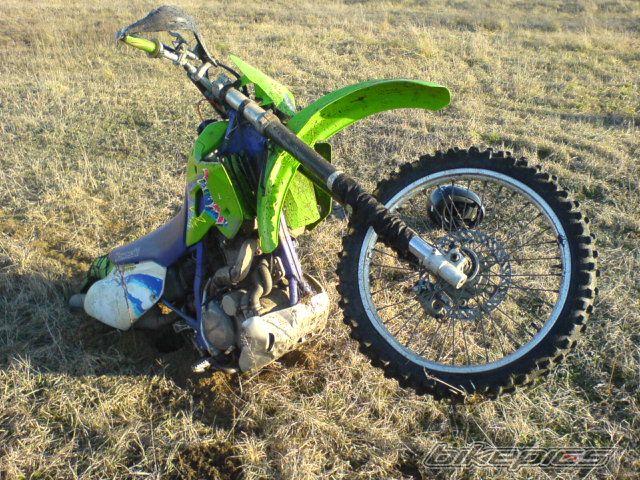 Photo 1273690