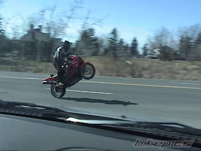 Photo 127370