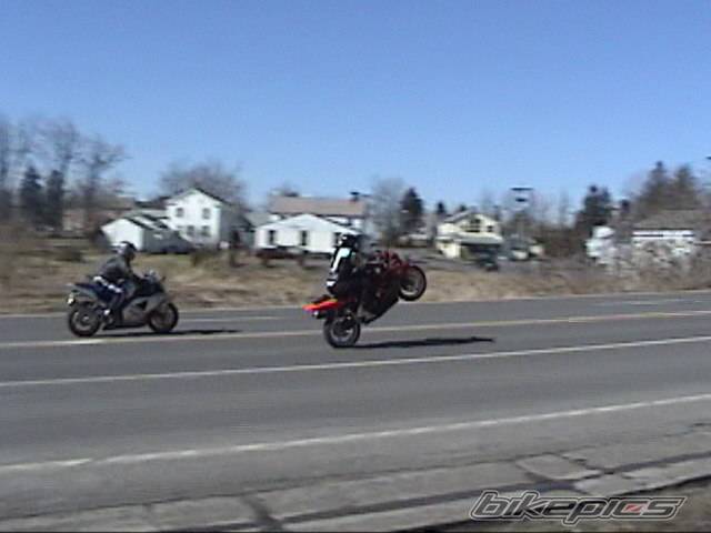 Photo 127371