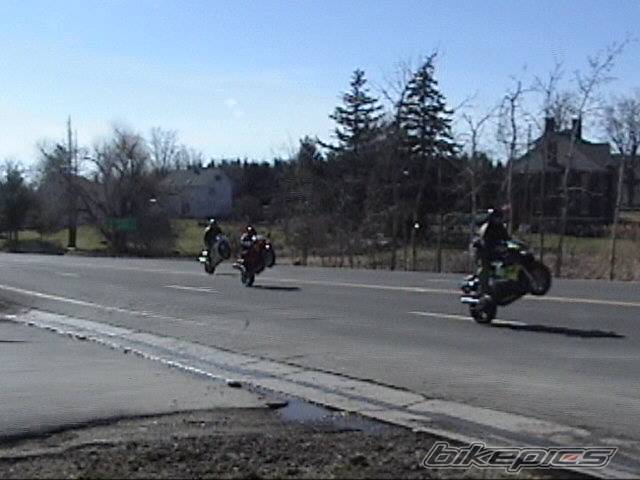 Photo 127372