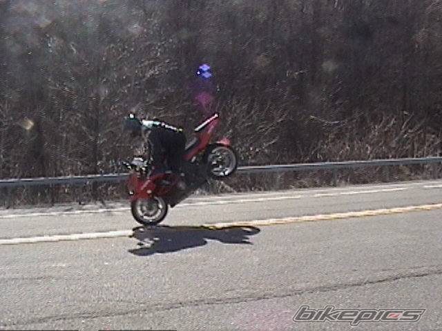 Photo 127374