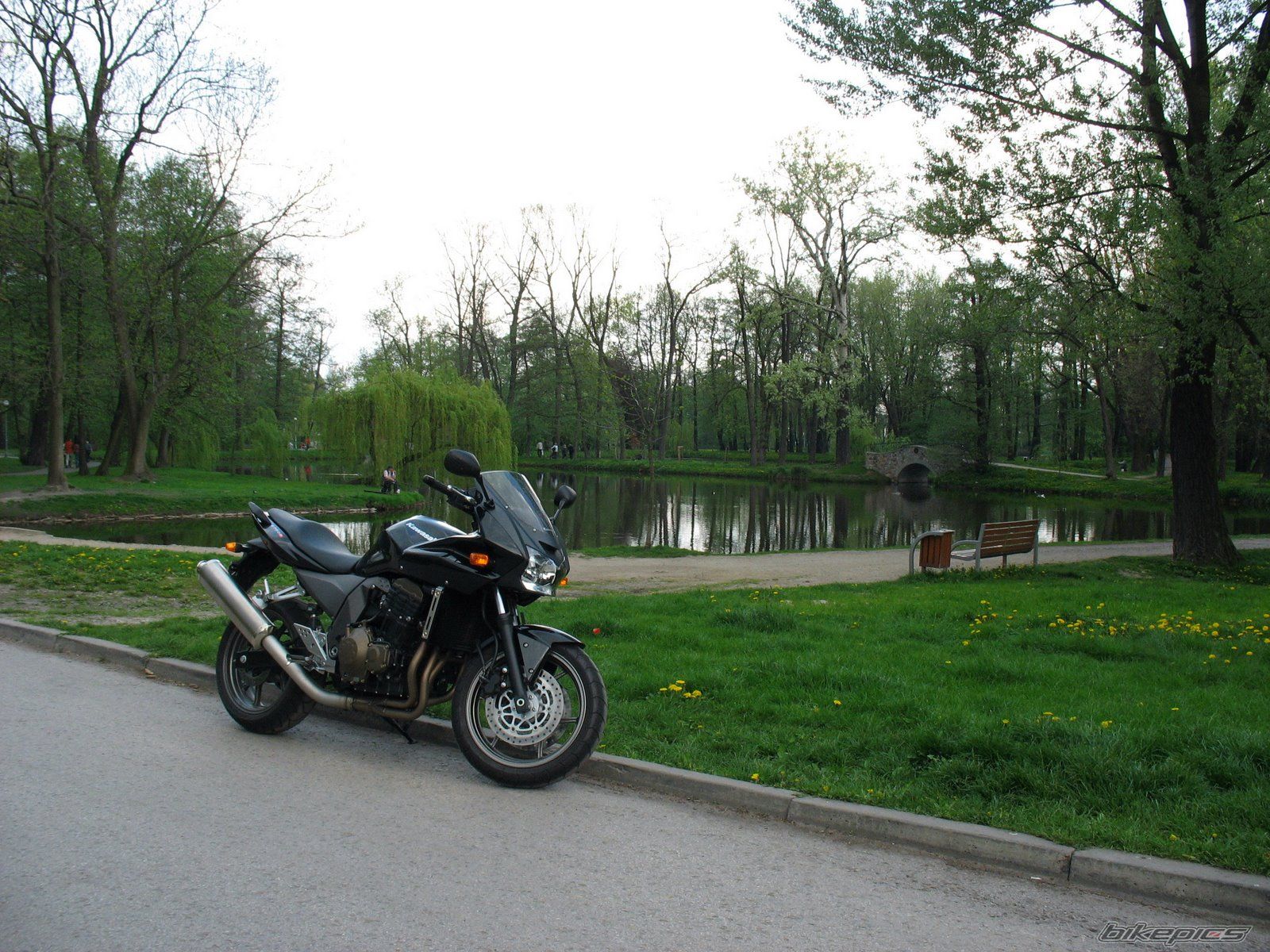 Photo 1273752