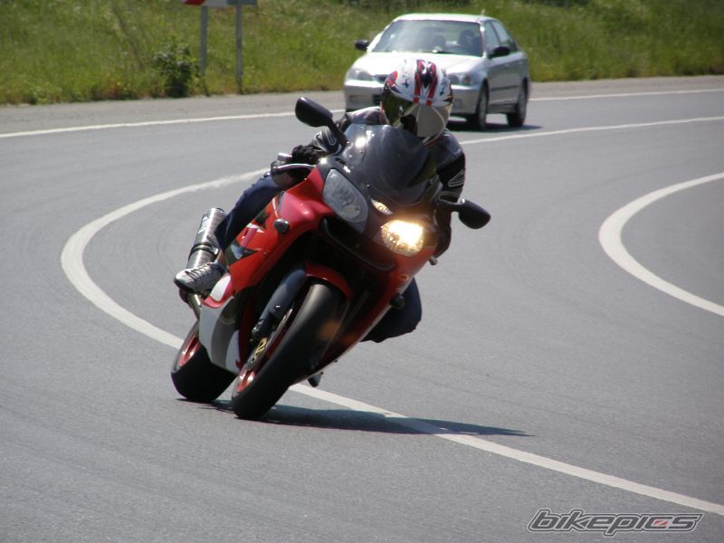 Photo 1273785