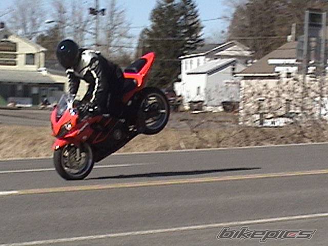 Photo 127380