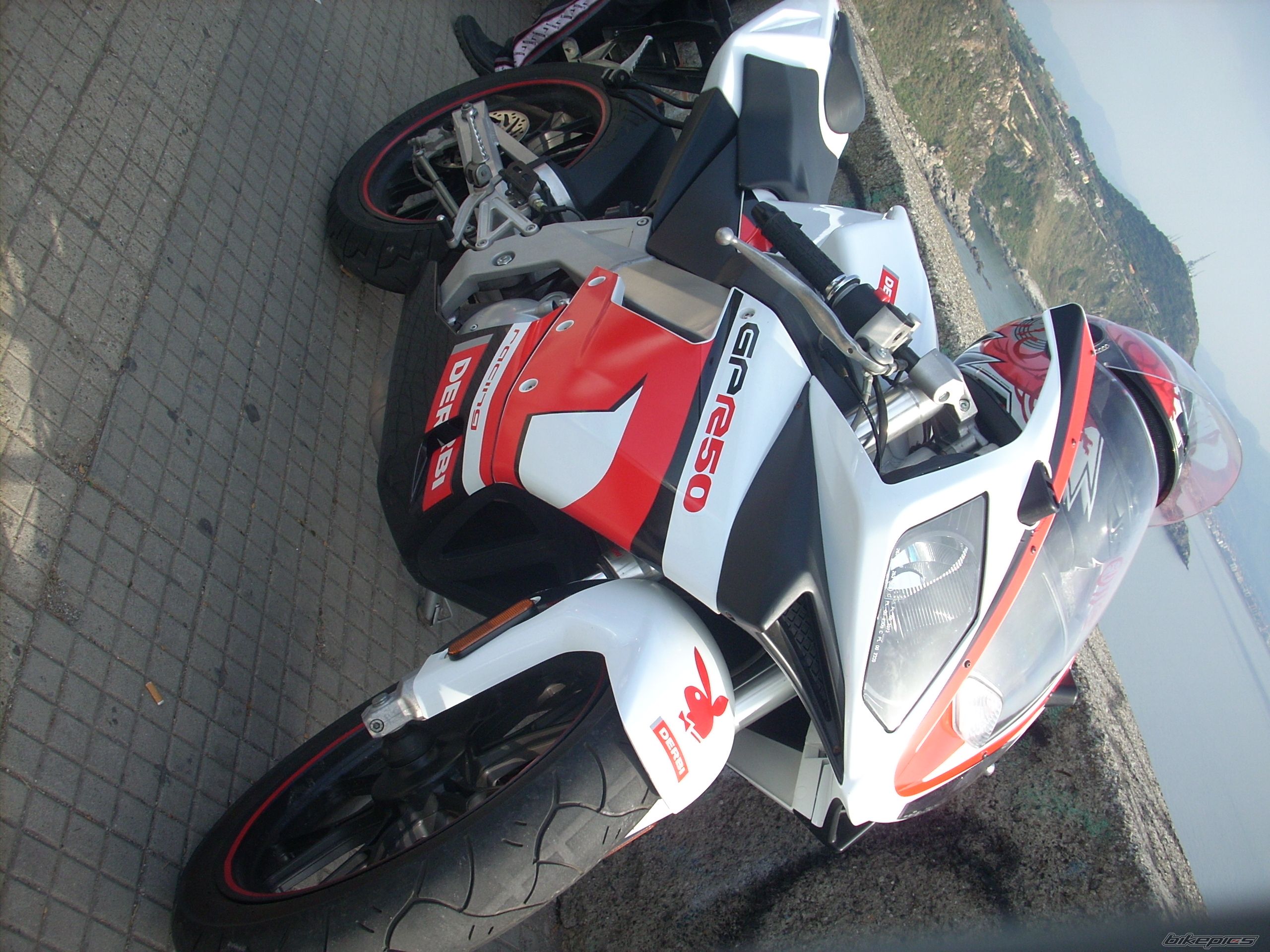 Photo 1273817