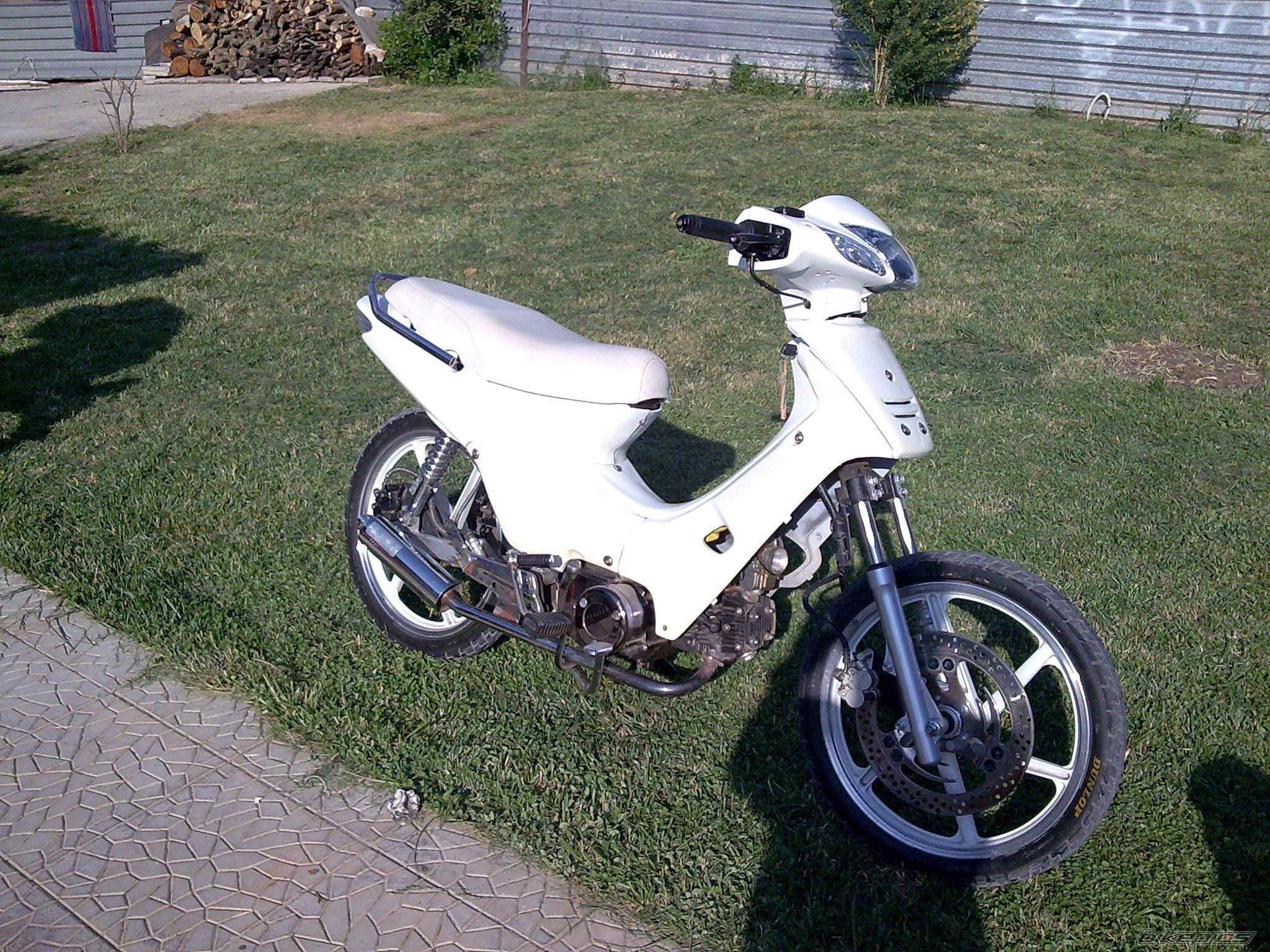 Photo 1273827