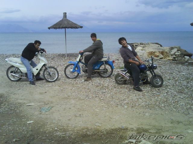 Photo 1273846