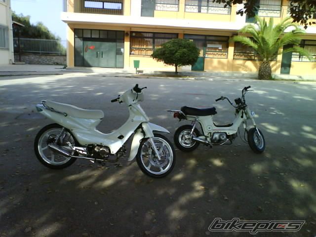 Photo 1273853